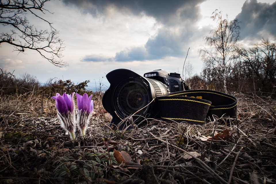 aparat Nikon leżący w trawie